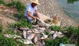 廖先生最新爆料,揭秘娛樂(lè)圈最新內(nèi)幕