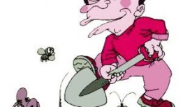 跳蚤在線觀看,一場驚心動魄的冒險之旅