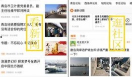 熱點爆料青島新聞網,揭秘青島最新熱點事件！