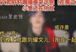 文軒節目爆料最新視頻,揭秘幕后真相，精彩瞬間不容錯過