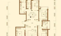 聯邦祥云國際最新爆料,揭秘神秘項目背后的驚人真相