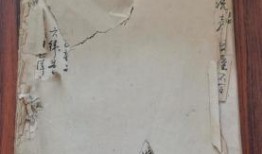 臨沂探店爆料視頻最新下載,網紅美食地圖更新，獨家爆料來襲！