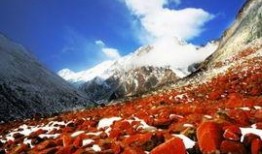 熱點(diǎn)爆料視頻大山美景