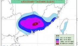 臺風爆料最新情況,揭秘‘臺風爆料最新情況！”
