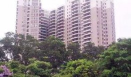 深圳石巖爆料事件最新情況