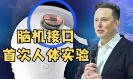 馬斯克最近爆料新聞視頻,揭秘科技巨頭背后的驚人真相！
