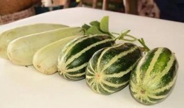 免費吃網(wǎng)紅瓜最新,免費品嘗背后的秘密與誘惑