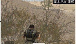 端游吃雞最新爆料,神秘武器登場，戰場格局再起風云