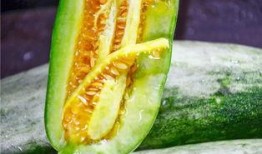 免費吃網(wǎng)紅瓜最新,免費品嘗背后的秘密與誘惑