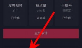 抖音視頻爆料箱怎么做,輕松制作熱門(mén)視頻的秘訣