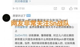 s10訓(xùn)練賽最新爆料,神秘陣容崛起，巔峰對決一觸即發(fā)！