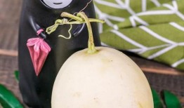 免費(fèi)吃瓜入口怎么找不到,探尋網(wǎng)絡(luò)神秘現(xiàn)象背后的真相