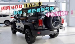 坦克300柴油最新爆料,性能與油耗雙提升，硬派越野新標桿