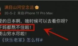 如何看內鬼爆料視頻呢,視頻背后的真相與啟示