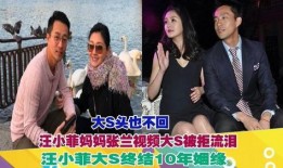 張蘭爆料黑人視頻大全,黑人視頻事件回顧與真相揭秘