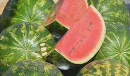 吃瓜網免費官網全球,全球熱點一網打盡，暢享無界限的娛樂盛宴