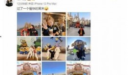 娛樂圈吃瓜爆料的文檔,揭秘明星背后的故事