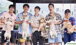 向往的生活5新爆料視頻,田園生活新篇章，明星嘉賓驚喜加盟！