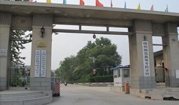 吳川學校爆料視頻大全集,揭秘校園風云錄