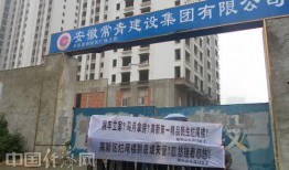 隆平高科最新爆料電話號,電話號碼揭秘行業新動態