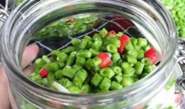 酸豆角爆料視頻大全集,揭秘幕后真相與趣味瞬間