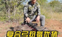 打獵視頻在線觀看,在線觀看打獵視頻的驚險(xiǎn)之旅