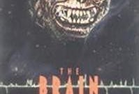 腦魔在線觀看,揭秘虛擬現(xiàn)實世界的神秘力量