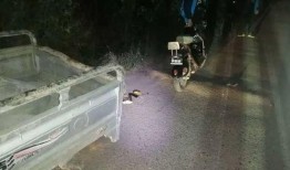 最新爆料車禍事件新聞發布會,最新進展與調查詳情揭曉