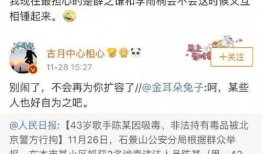 靈兒的吃瓜日記免費閱讀,揭秘娛樂圈幕后風云