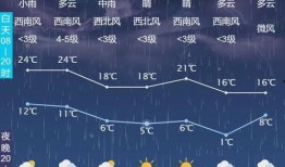 大風新聞爆料最新消息視頻,最新爆料視頻揭秘事件真相