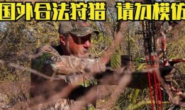 打獵視頻在線觀看,在線觀看打獵視頻的驚險(xiǎn)之旅