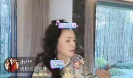 張蘭錄音爆料大全最新版,揭秘商業帝國背后的真相與爭議