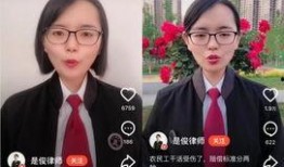 美女律師在線觀看,在線揭秘法庭風云