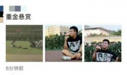 娛樂吃瓜資料來源于哪里,揭秘娛樂圈吃瓜資料的來源與傳播