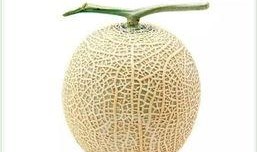 網(wǎng)紅吃瓜頭像插畫是誰