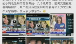 爆料真實視頻事件大全集,驚心動魄的瞬間回顧