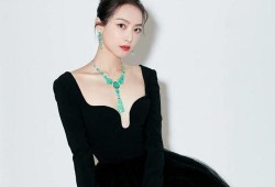 黑天鵝娛樂(lè)爆料,揭秘娛樂(lè)圈不為人知的驚天秘密