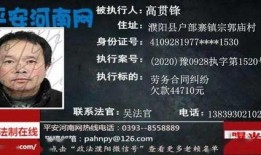 珍品傳說2025最新爆料