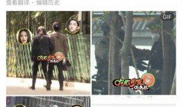 兩個(gè)人的爆料視頻大全集,視頻大全集深度解析