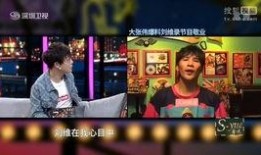 劉維爆料美食視頻大全下載,一場味蕾的盛宴之旅